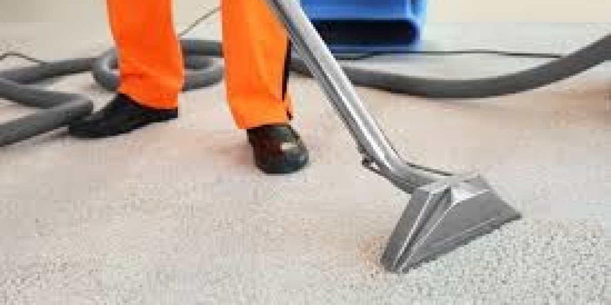 ﻿﻿DIY vs. Professional Carpet Cleaning: Which is Better for Air Quality?